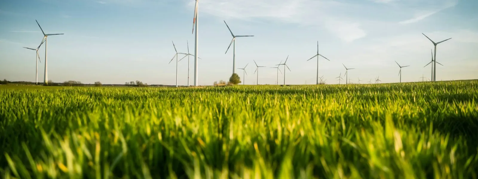 Inside Europe’s Green Industrial Shift: A Dialogue with EU Progressive Leaders 