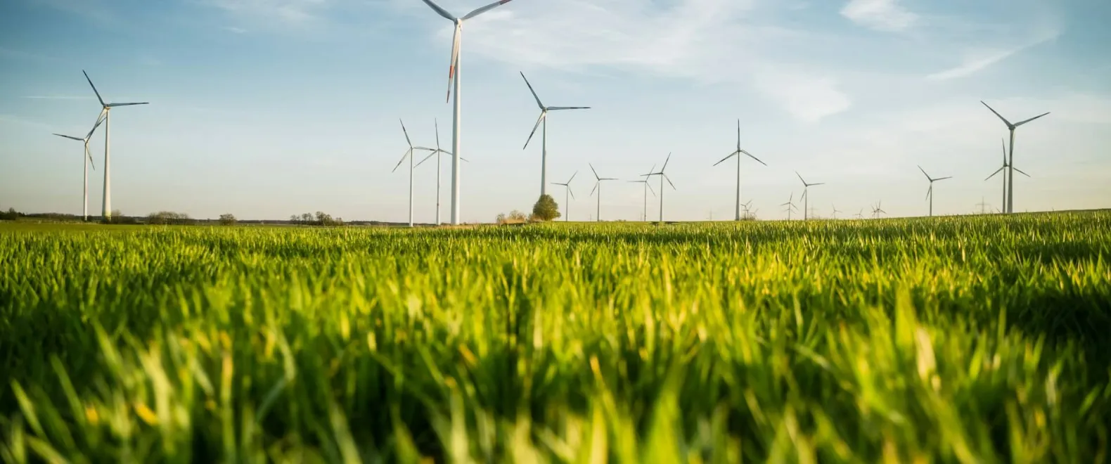 Inside Europe’s Green Industrial Shift: A Dialogue with EU Progressive Leaders 