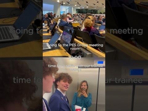 A day at the plenary